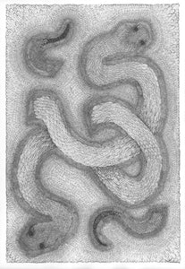 Oeuvre Originale Ambraude, de l'Art Nouveau Post Exotique. "Serpents dans le sable": encre de Chine sur papier, 44,5 x 64,5 cm. Deux serpents fondus dans le sable. Variation de formes d'écailles du serpent du désert qui se transforment peu à peu en des perles de sable de plus en plus fines, dévoilant leur présence. | Oeuvre Graphique en noir et blanc | Oeuvre Originale | Art Nouveau Post Exotique | Art à la Thématique Animalière | Deux Serpents du Désert | Nature | Ecaille | Sable