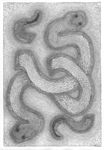Oeuvre Originale Ambraude, de l'Art Nouveau Post Exotique. "Serpents dans le sable": encre de Chine sur papier, 44,5 x 64,5 cm. Deux serpents fondus dans le sable. Variation de formes d'écailles du serpent du désert qui se transforment peu à peu en des perles de sable de plus en plus fines, dévoilant leur présence. | Oeuvre Graphique en noir et blanc | Oeuvre Originale | Art Nouveau Post Exotique | Art à la Thématique Animalière | Deux Serpents du Désert | Nature | Ecaille | Sable