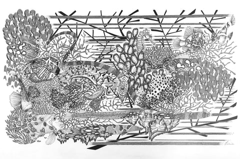REPRODUCTION d'ART de l'Oeuvre « Monde aquatique » en papier artistique, 100 x 70 cm, tirage limité 30 exemplaires, datée, signée, numérotée. Diverses espèces d'animaux aquatiques, poissons, serpents de mer... fusionnant avec leur habitat naturel: le corail, les algues, afin de faire travailler l'imaginaire de chacun.